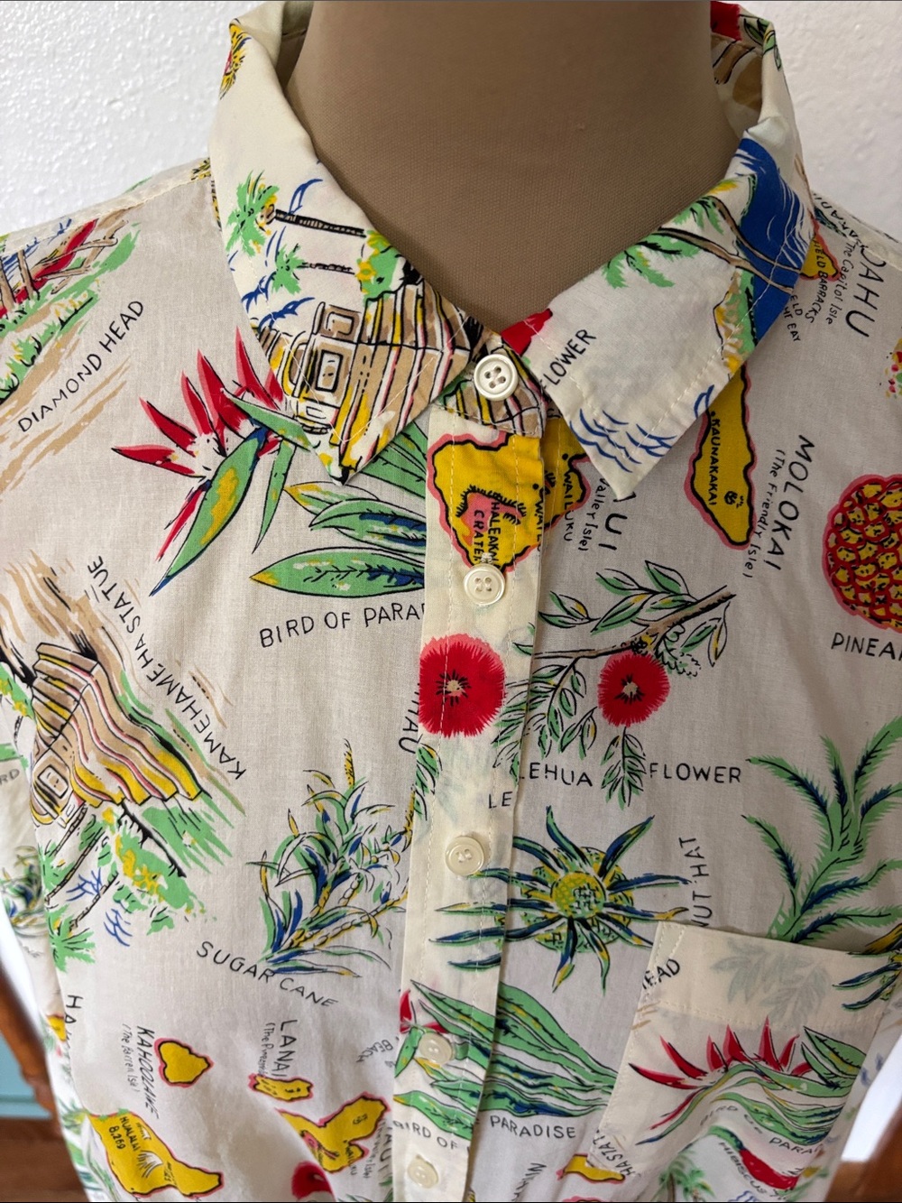 J. Crew Hawaii printed shirt. Tie front long sleeve . Size Large - Picture 2 of 5